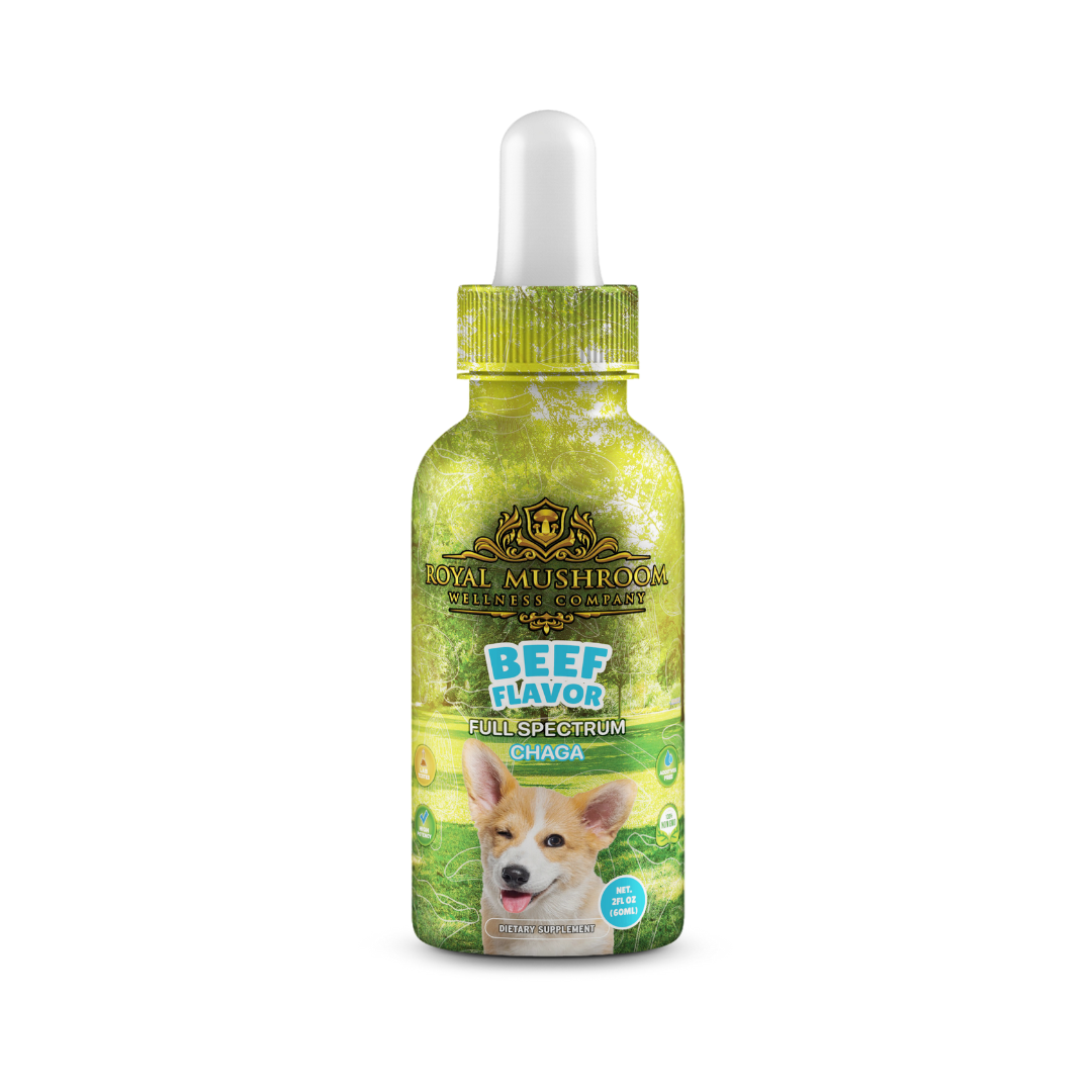 Dogs Tincture Beef Flavor - Chaga