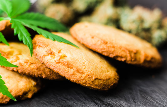 Cooking with CBD: Easy and Delicious Recipes for a Wellness Boost