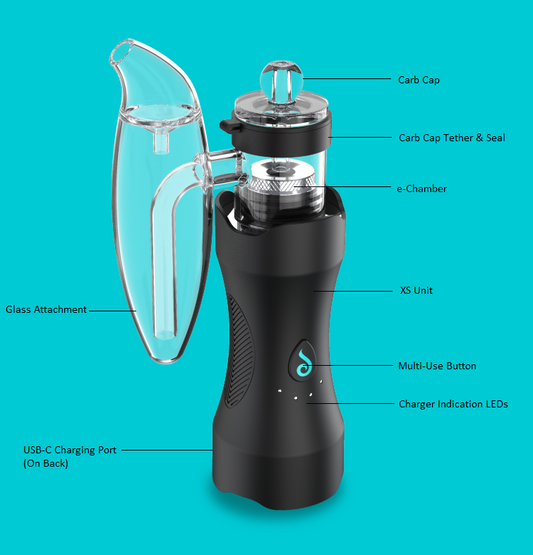 DR. Dabber XS compact performance system - Green Planet