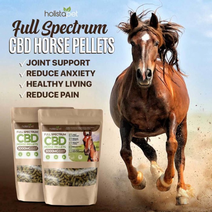 Horse Pellets 3000 MG CBD